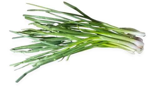 spring-onion